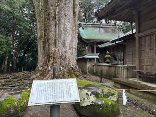 倉田八幡宮の参拝記録(光のメッセンジャー友土さん)