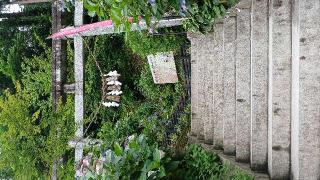 胡桃下意成神社(石都々古和氣神社境内社)の参拝記録(SFUKUさん)