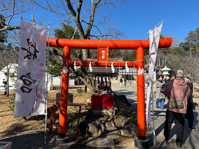 桜の宮(茨城県護国神社境内)の参拝記録10