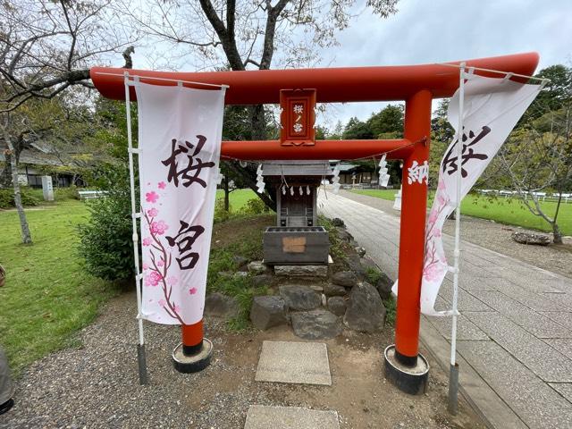 桜の宮(茨城県護国神社境内)の参拝記録9