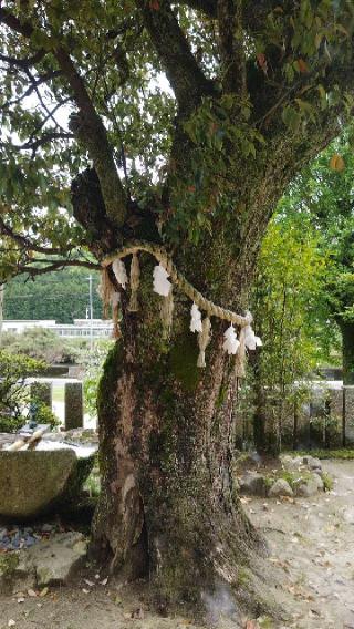 出雲大社周防分院の参拝記録(ミリさん)