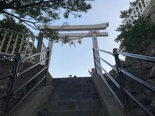 早高神社の参拝記録(パールホワイトさん)