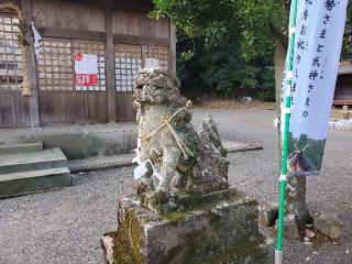 妻山神社の参拝記録(飛成さん)