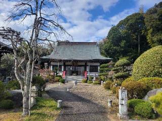 金楽山 金城寺の参拝記録(まっきーさん)