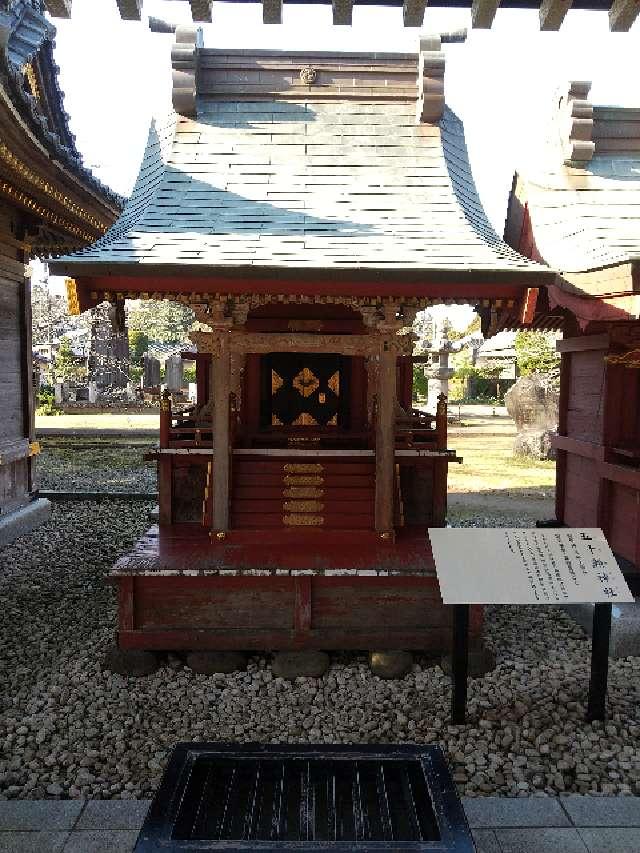 茨城県稲敷市阿波９５８ 五十瀬神社（大杉神社境内社）の写真2