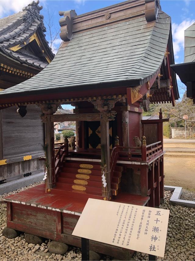 茨城県稲敷市阿波９５８ 五十瀬神社（大杉神社境内社）の写真3