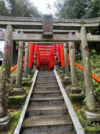 最勝立身出世稲荷神社（大杉神社境内社）の参拝記録(こーちんさん)