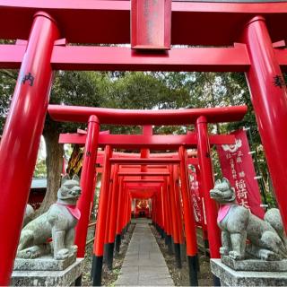 最勝立身出世稲荷神社（大杉神社境内社）の参拝記録(のぶさん)
