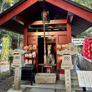 大杉神社の参拝記録(のぶさん)