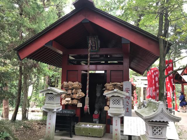 大杉神社の参拝記録6