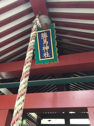 大杉神社の参拝記録(Mieさん)