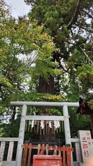 勝馬神社の参拝記録(TOMO369さん)