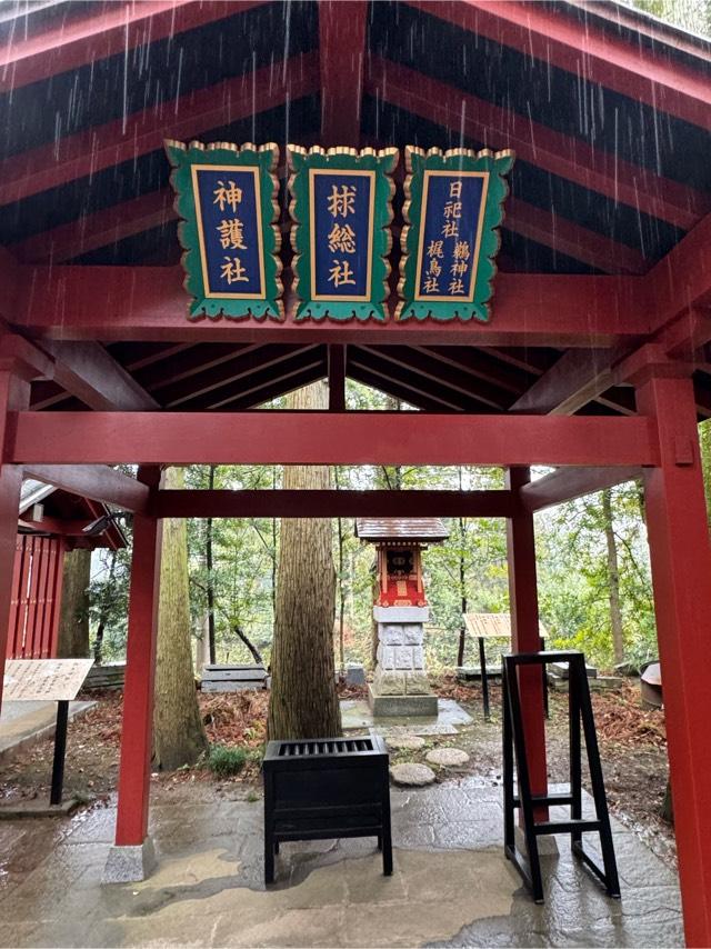 球総社（大杉神社境内）の参拝記録6