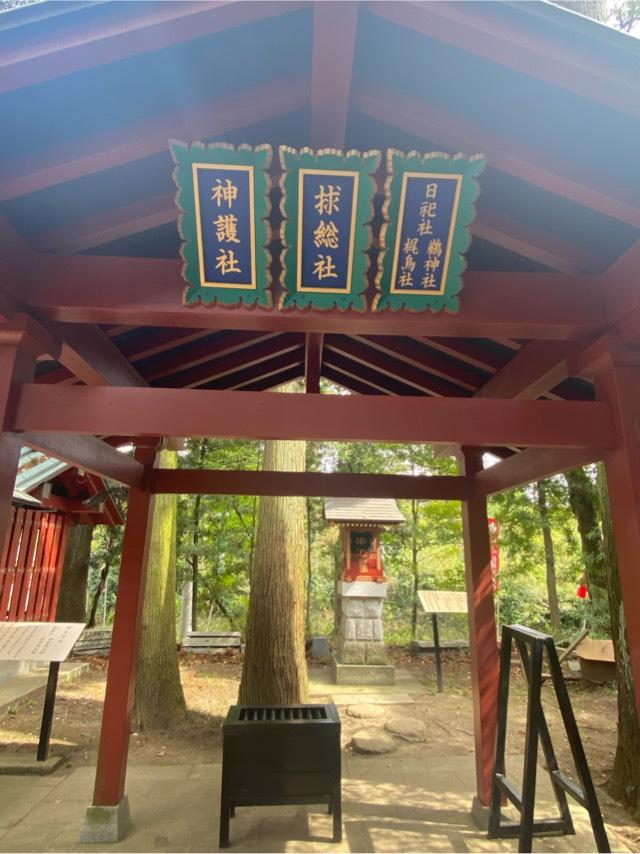 球総社（大杉神社境内社）の参拝記録8