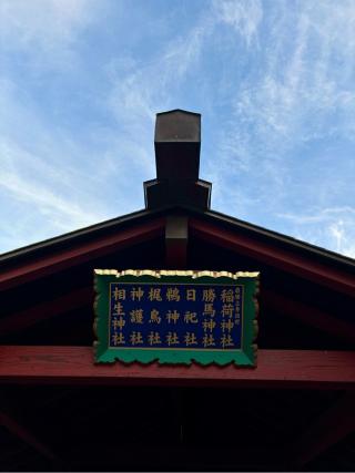 球総社（大杉神社境内）の参拝記録(のぶさん)