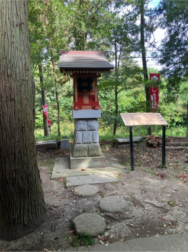 球総社（大杉神社境内社）の参拝記録6