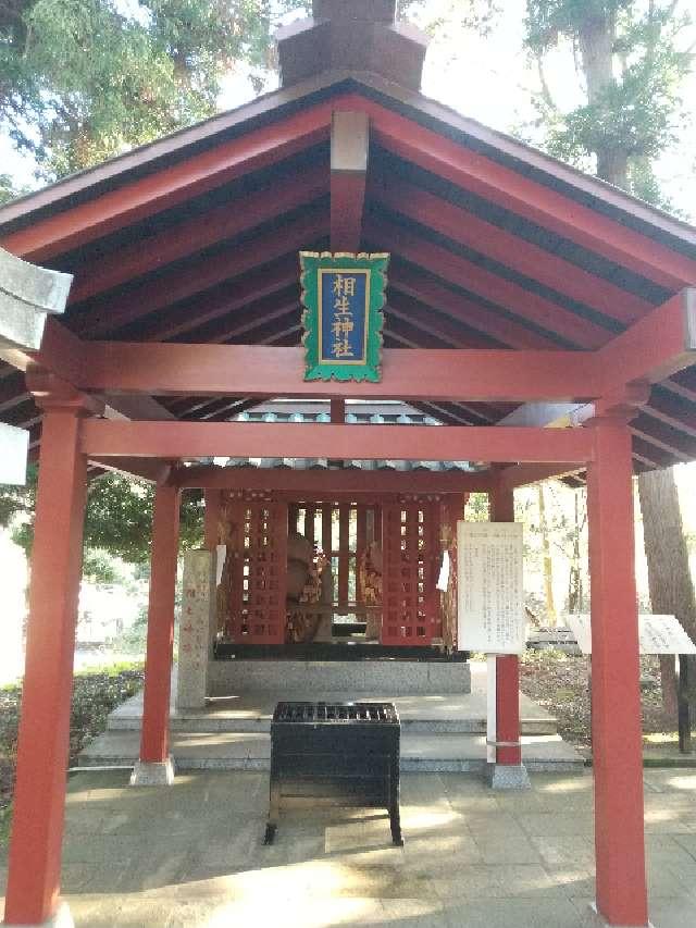 茨城県稲敷市阿波９５８ 相生神社（大杉神社境内社）の写真2