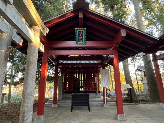 相生神社（大杉神社境内社）の参拝記録9