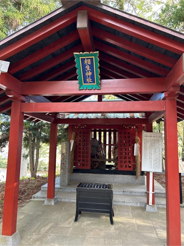 相生神社（大杉神社境内社）の参拝記録8