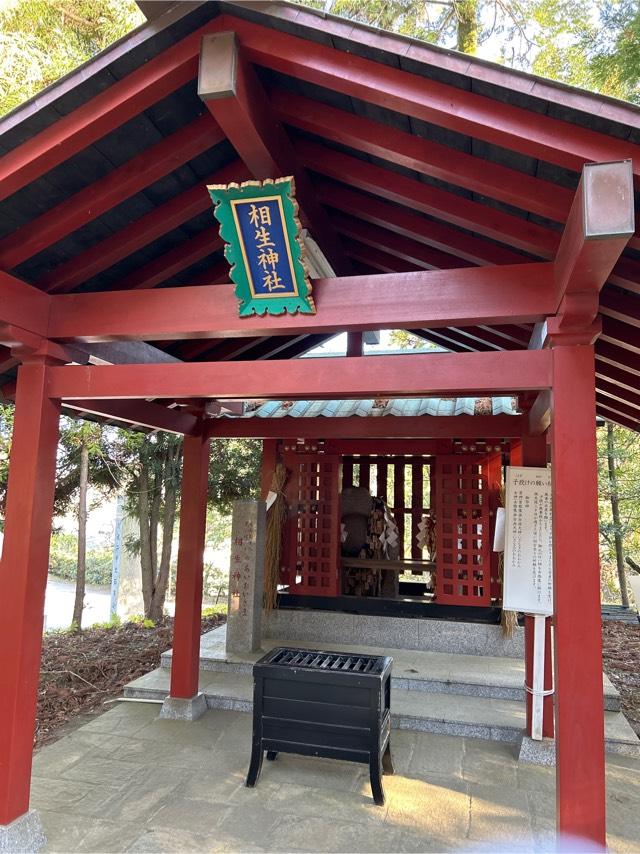 相生神社（大杉神社境内社）の参拝記録7