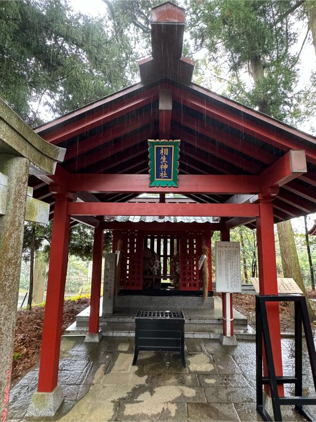 相生神社（大杉神社境内社）の参拝記録5