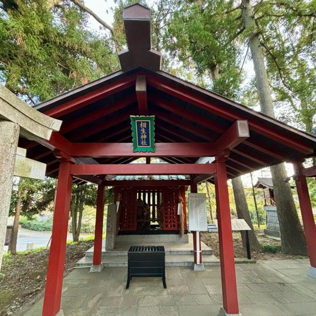 相生神社（大杉神社境内社）の参拝記録4