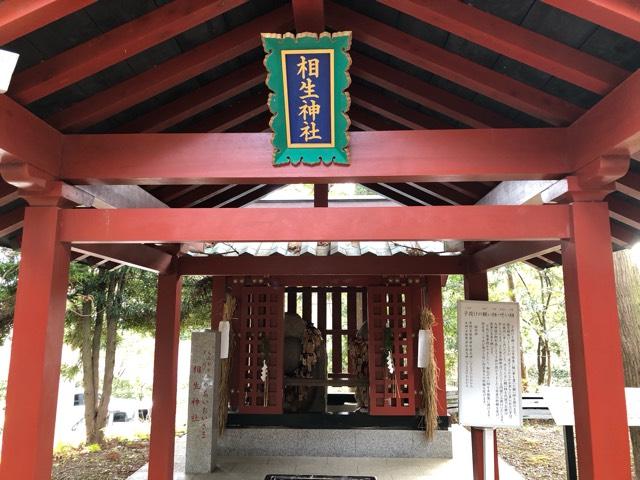 相生神社（大杉神社境内社）の参拝記録3