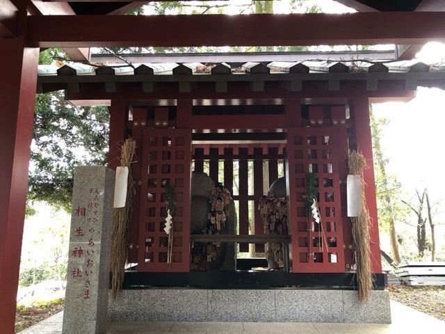 茨城県稲敷市阿波９５８ 相生神社（大杉神社境内社）の写真3