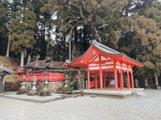 櫻實神社 (八ツ房杉)の参拝記録(KUMIKOさん)