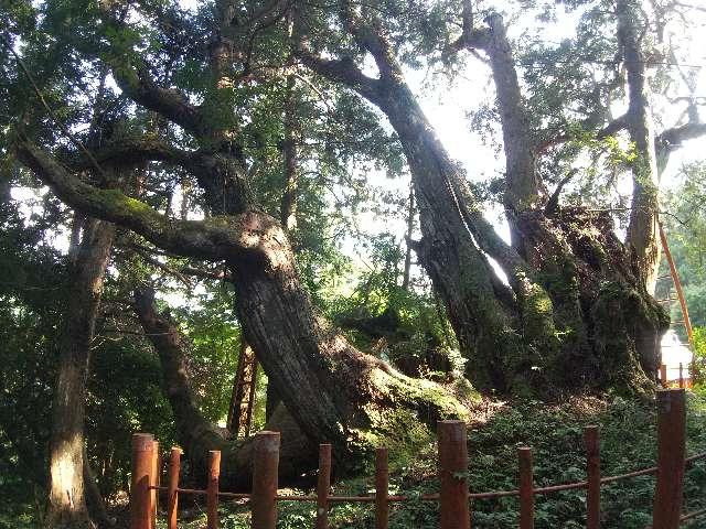 櫻實神社 (八ツ房杉)の参拝記録(天地悠久さん)