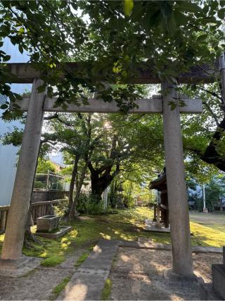 濱神明社の参拝記録(⛩️🎠🐢まめ🐢🎠⛩️さん)