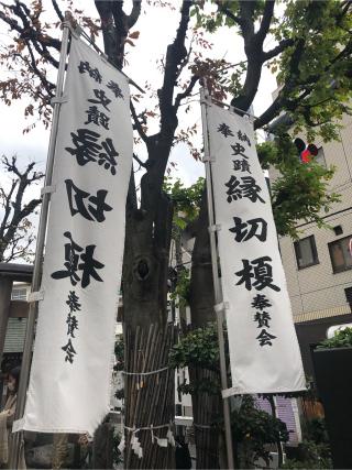 縁切り榎の参拝記録(神追人さん)