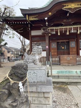 柏木神社の参拝記録(ハボタンはケールさん)