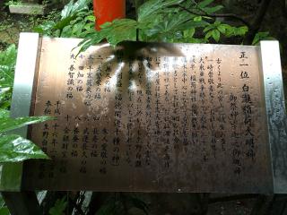 白瀧稲荷神社の参拝記録(つかぼんさん)