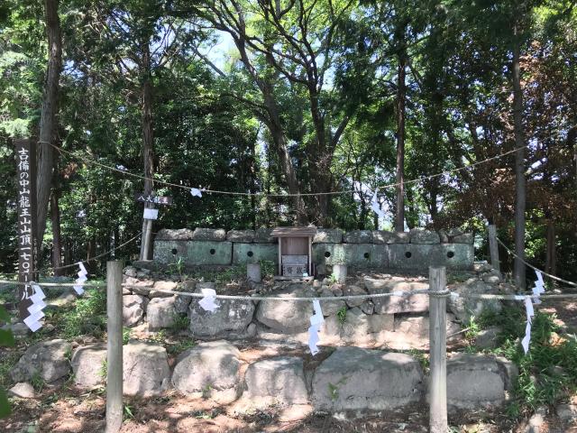 岡山県岡山市北区一宮 龍神社(吉備津彦神社末社)の写真1