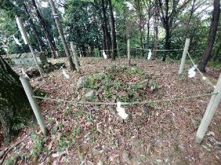 龍神社(吉備津彦神社末社)の参拝記録(さささん)