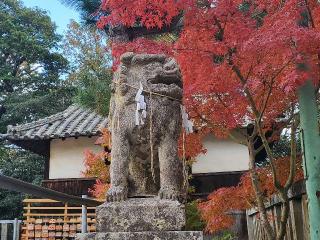 内海八幡神社の参拝記録(飛成さん)