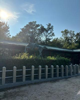 内海八幡神社の参拝記録(ゆんさん)