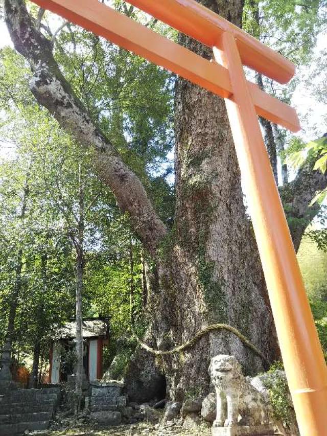 三重県南牟婁郡紀宝町引作宮本507 引作神社の写真1