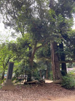 熱田社（鹿島神宮境内社）の参拝記録(⛩️🐍🐢まめ🐢🐍⛩️さん)