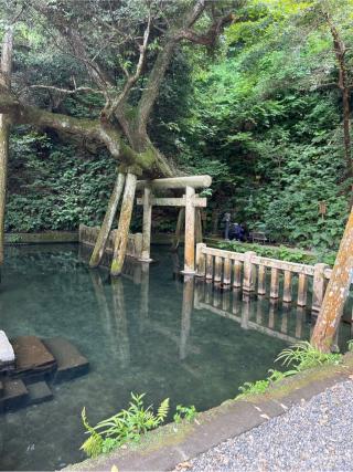 大黒社（鹿島神宮境内社）の参拝記録(⛩️🐍🐢まめ🐢🐍⛩️さん)