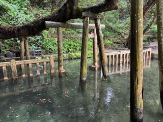 大黒社（鹿島神宮境内社）の参拝記録(ひろたかさん)