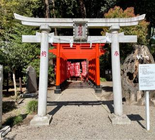 常磐稲荷神社(常磐神社境内社)の参拝記録(のぶさん)