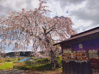羽生天神社の参拝記録(ぶちさん)