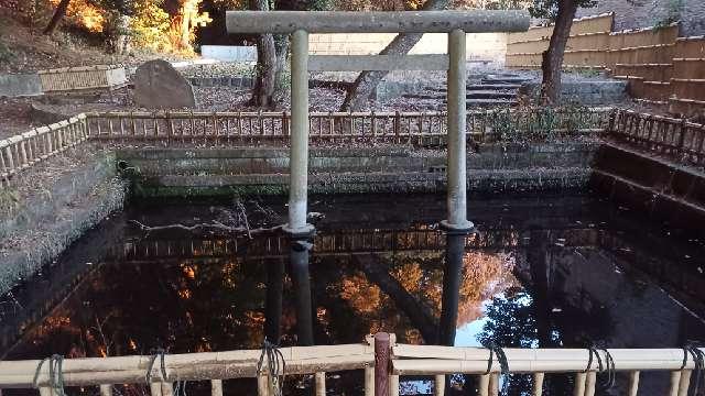 茨城県東茨城郡大洗町磯浜6888 清良神社(大洗磯前神社境内)の写真5