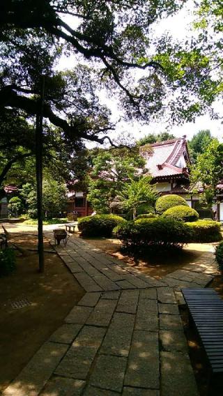 高根寺の参拝記録(terryさん)
