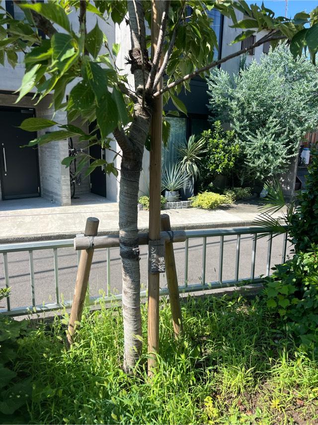 熊野神社の参拝記録1