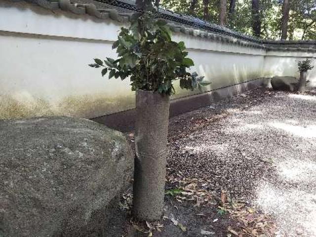 奈良県奈良市山町 御霊神社・八幡神社 (奈良市山町)の写真3
