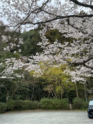 飯盛文殊堂の参拝記録(みほさん)