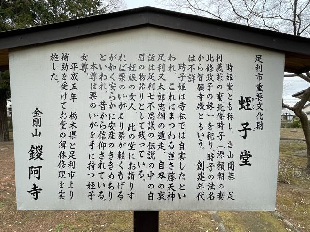 栃木県足利市家富町2246 蛭子堂（鑁阿寺）の写真2